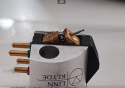 0_5602555_48949.png